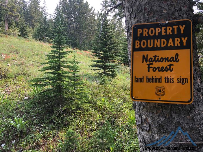 4.9 acres in Beaverhead County, Montana