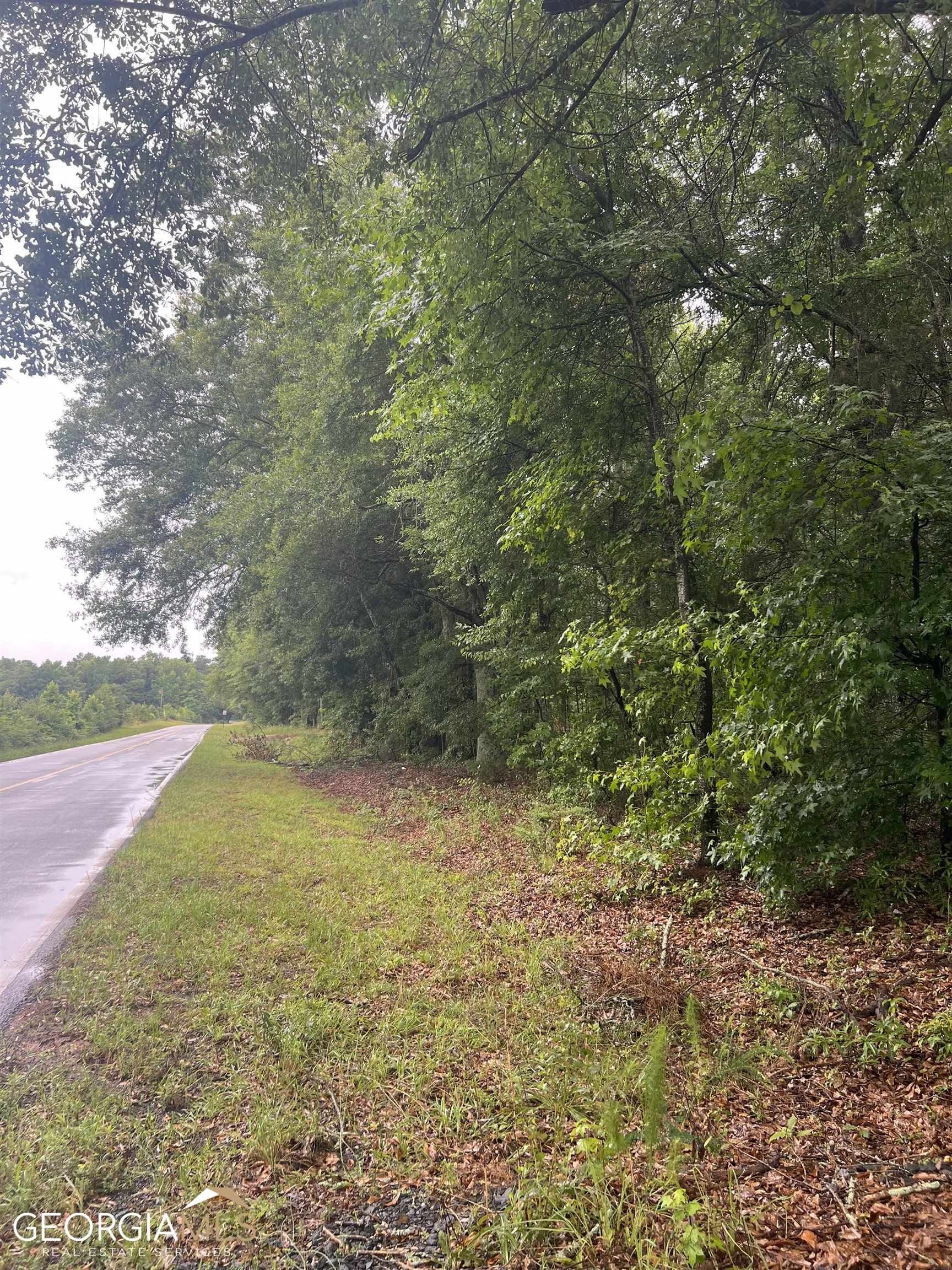 5 acres in Upson County,