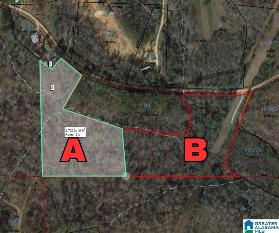 8.5 acres in Cleburne County, Alabama