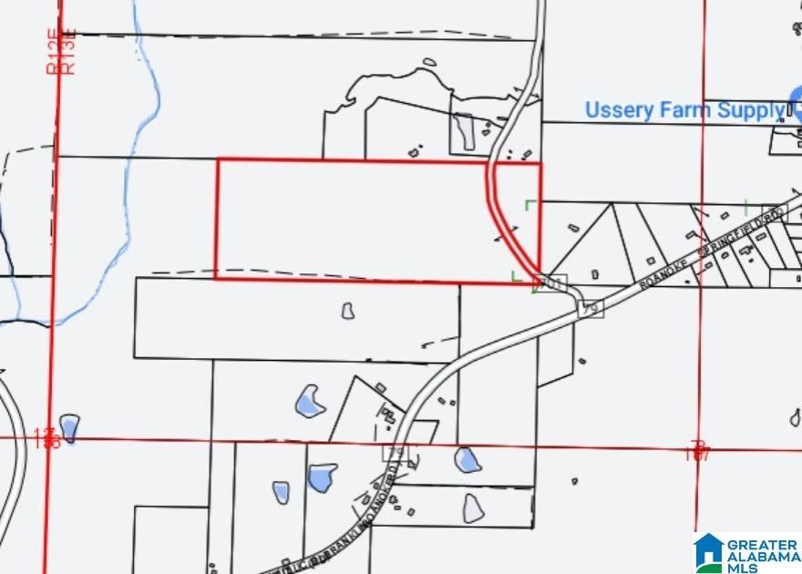 60 acres in Randolph County, Alabama