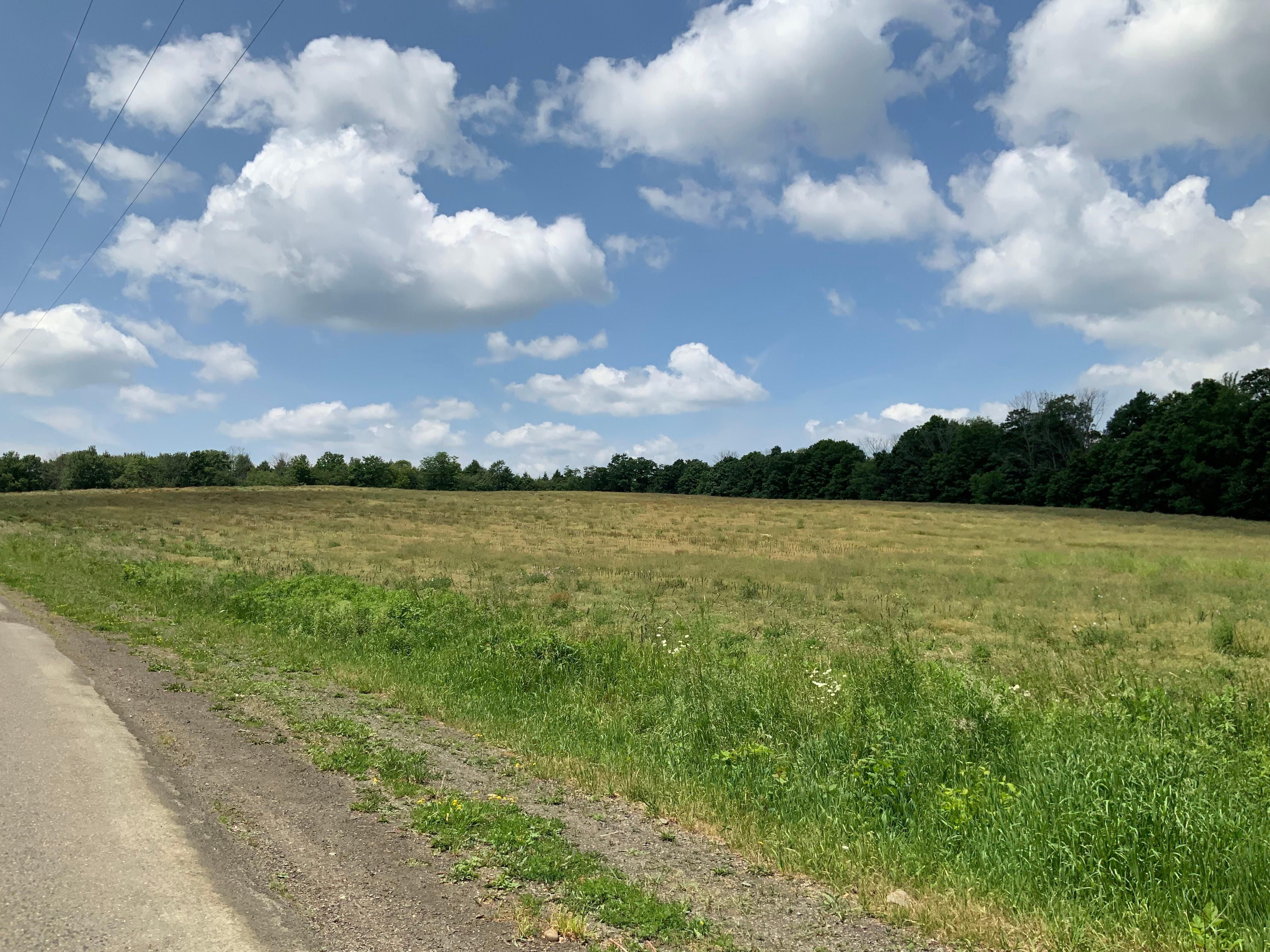 Popple Hill Rd, Lot 4, Berkshire, NY 13736 MLS 11185285