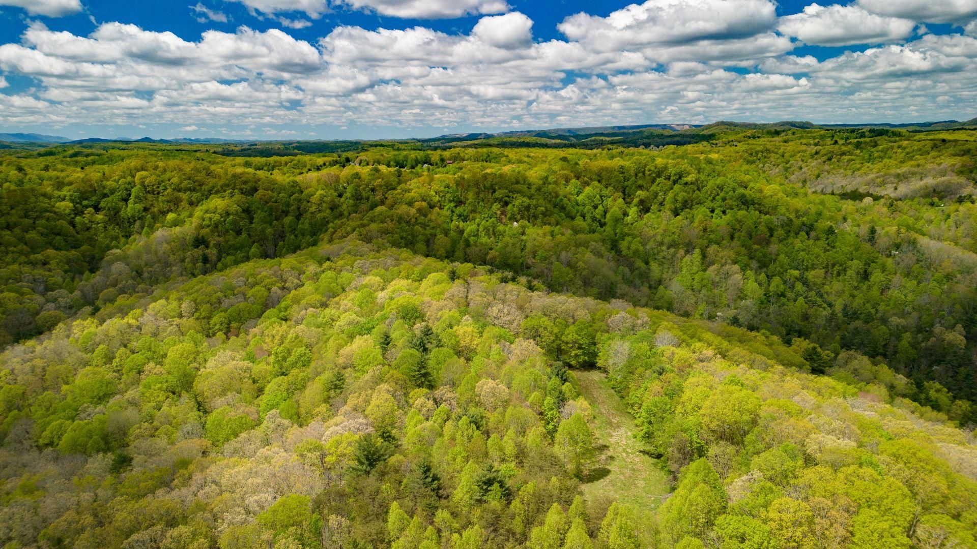 Spotwood Road, Rock, WV 24747 MLS TALL TIMBER FOREST 105 +/ Acres