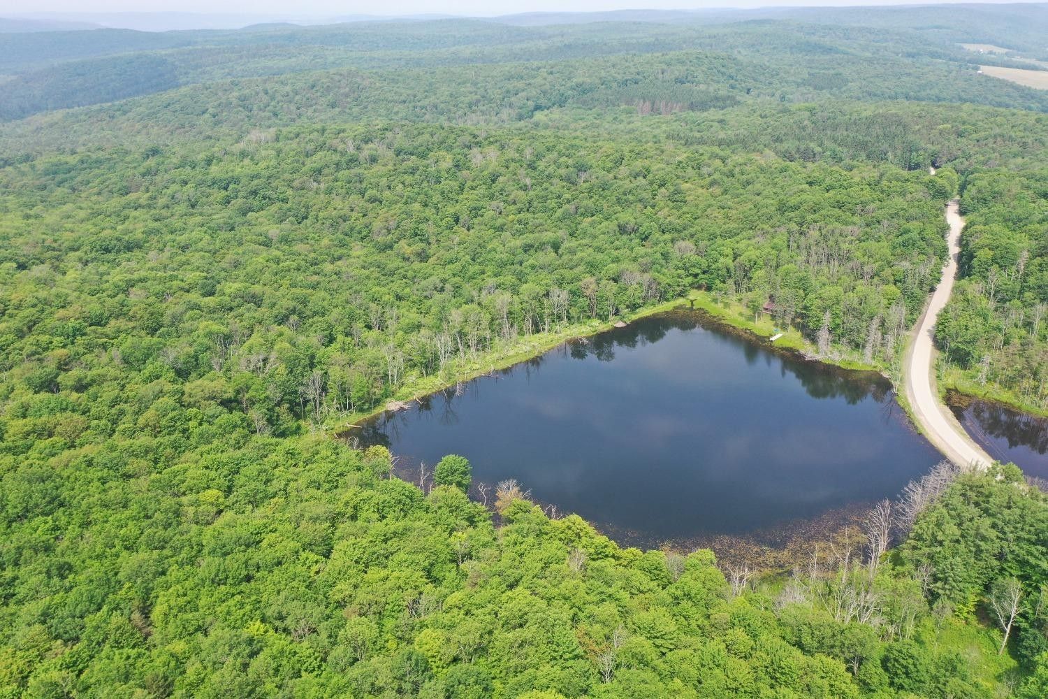 10 acres in Tioga County, New York
