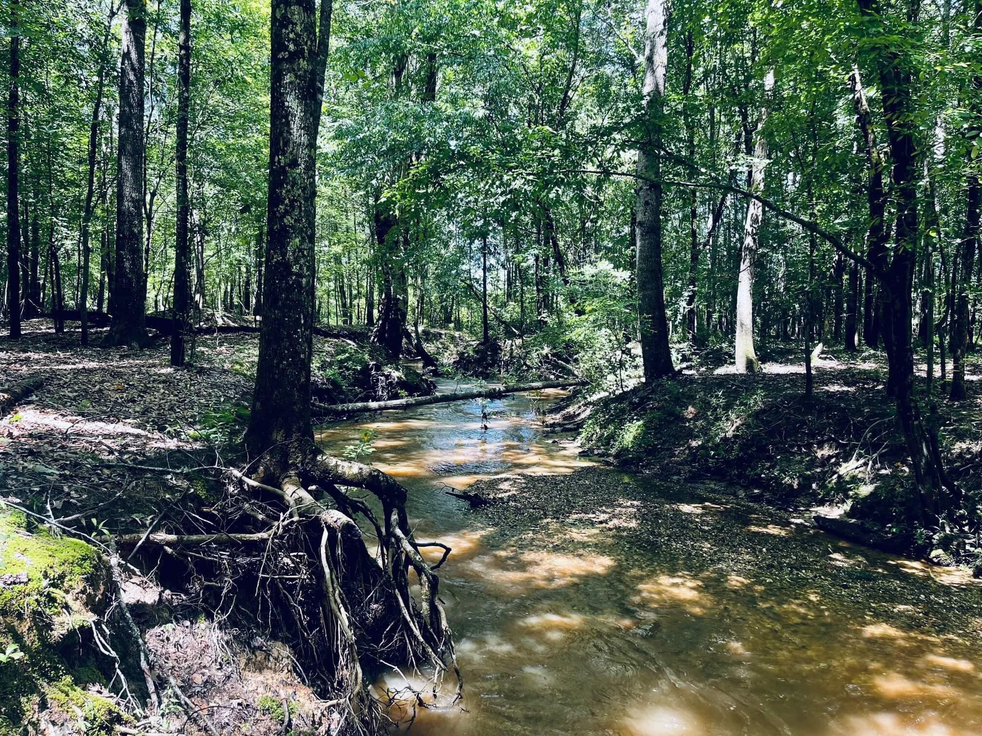 53 acres in Prentiss County, Mississippi