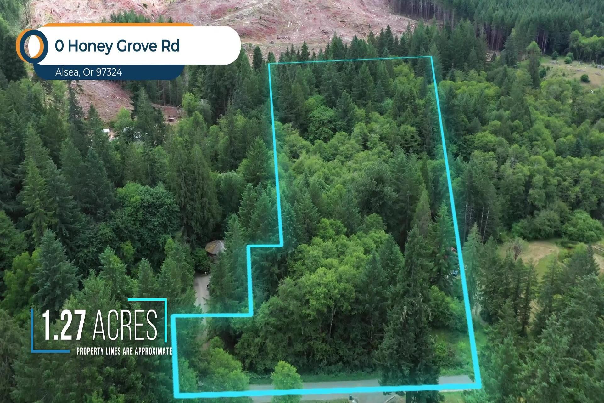0 HONEY GROVE RD, Alsea, OR 97324