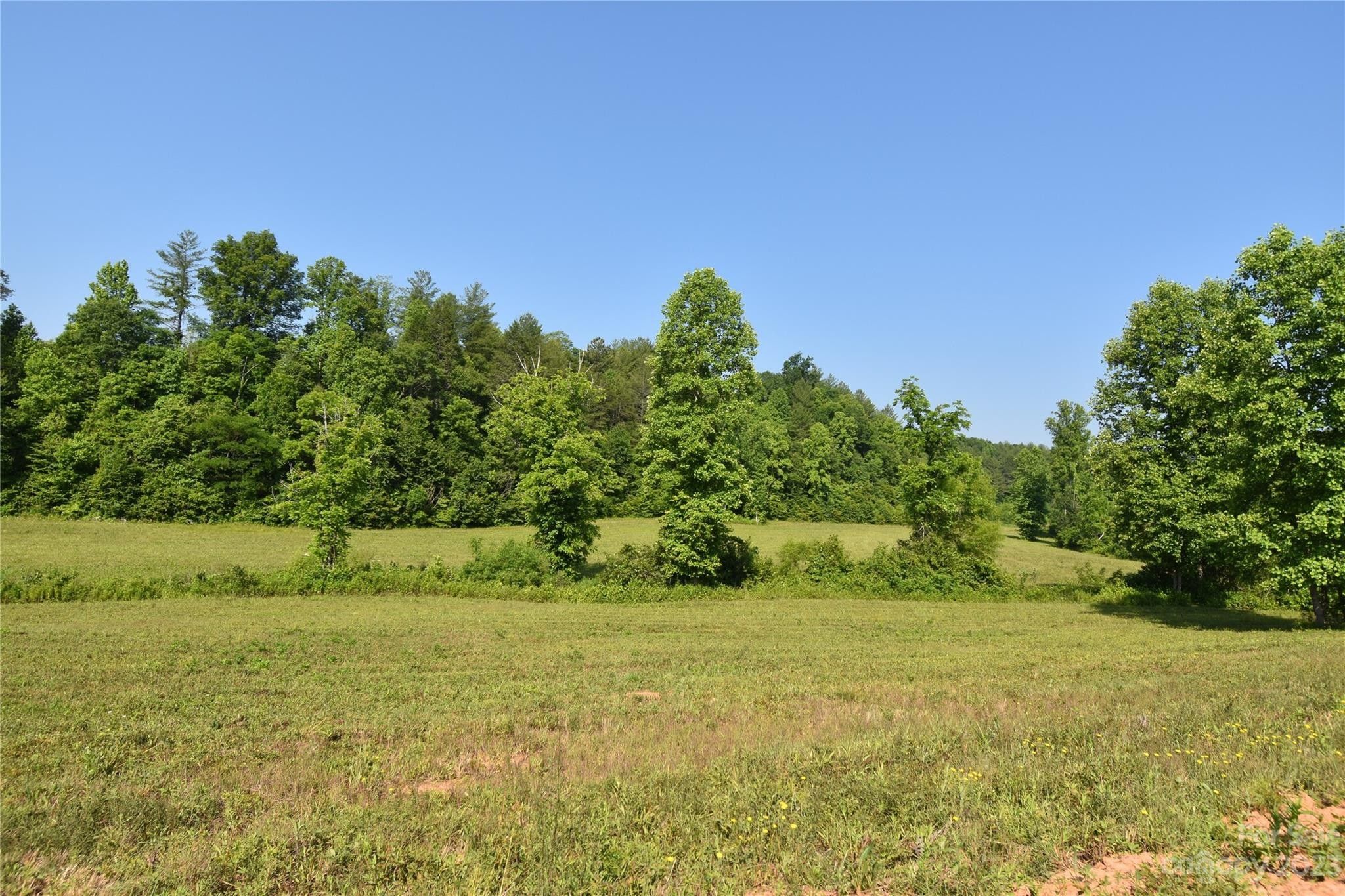 45 acres in Caldwell County, North Carolina