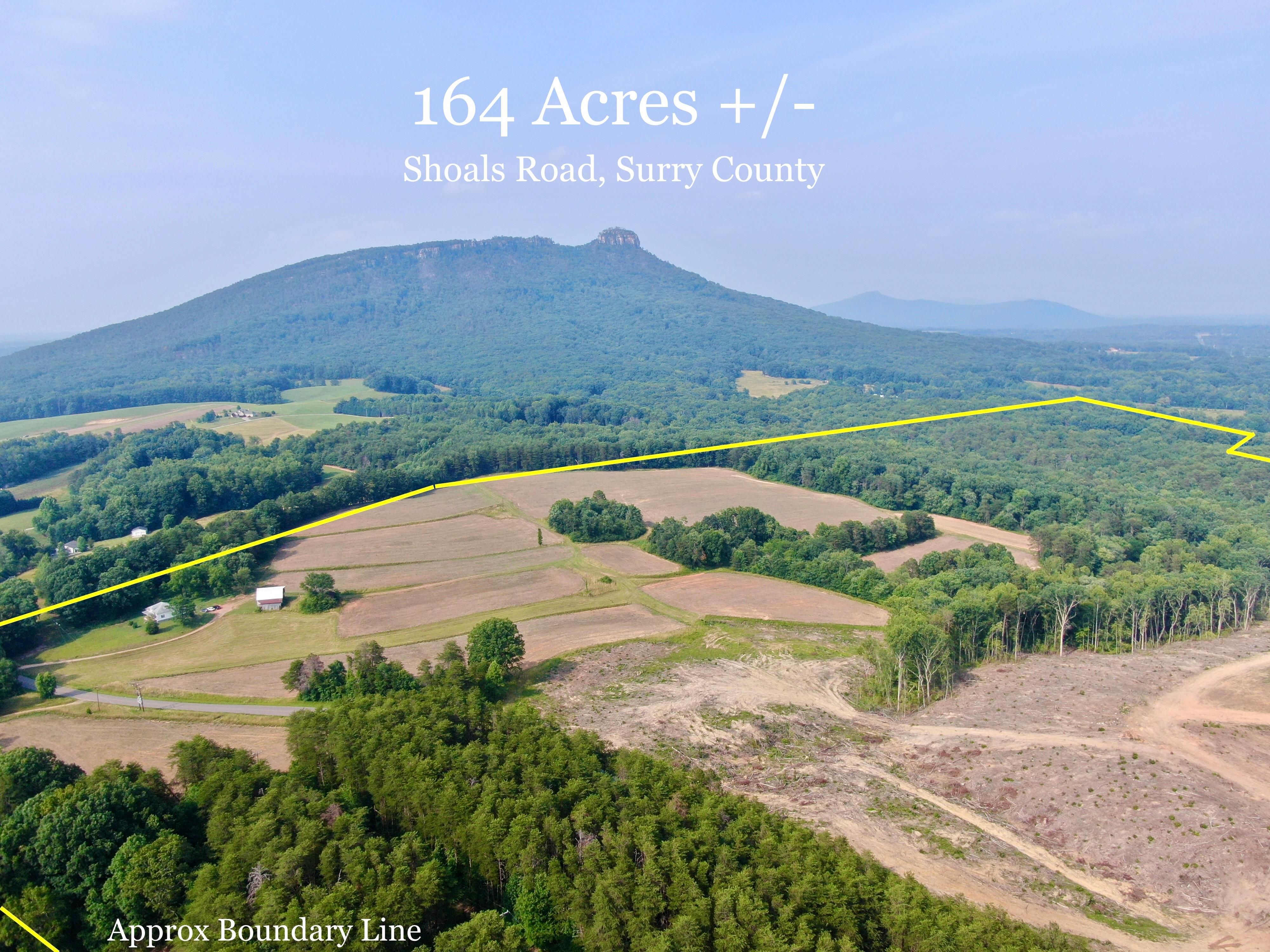164 acres in Surry County, North Carolina