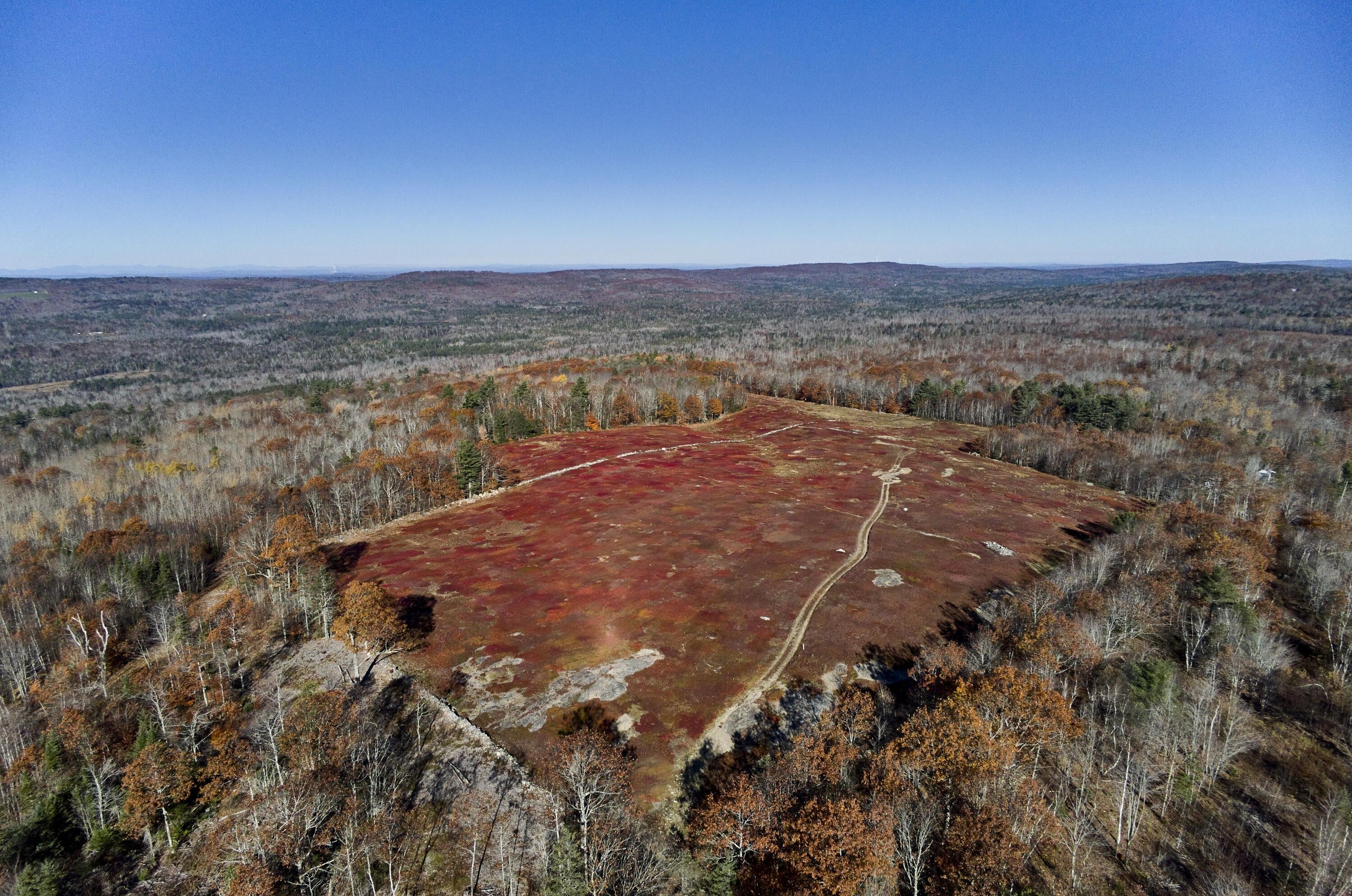 40 acres in Waldo County, Maine