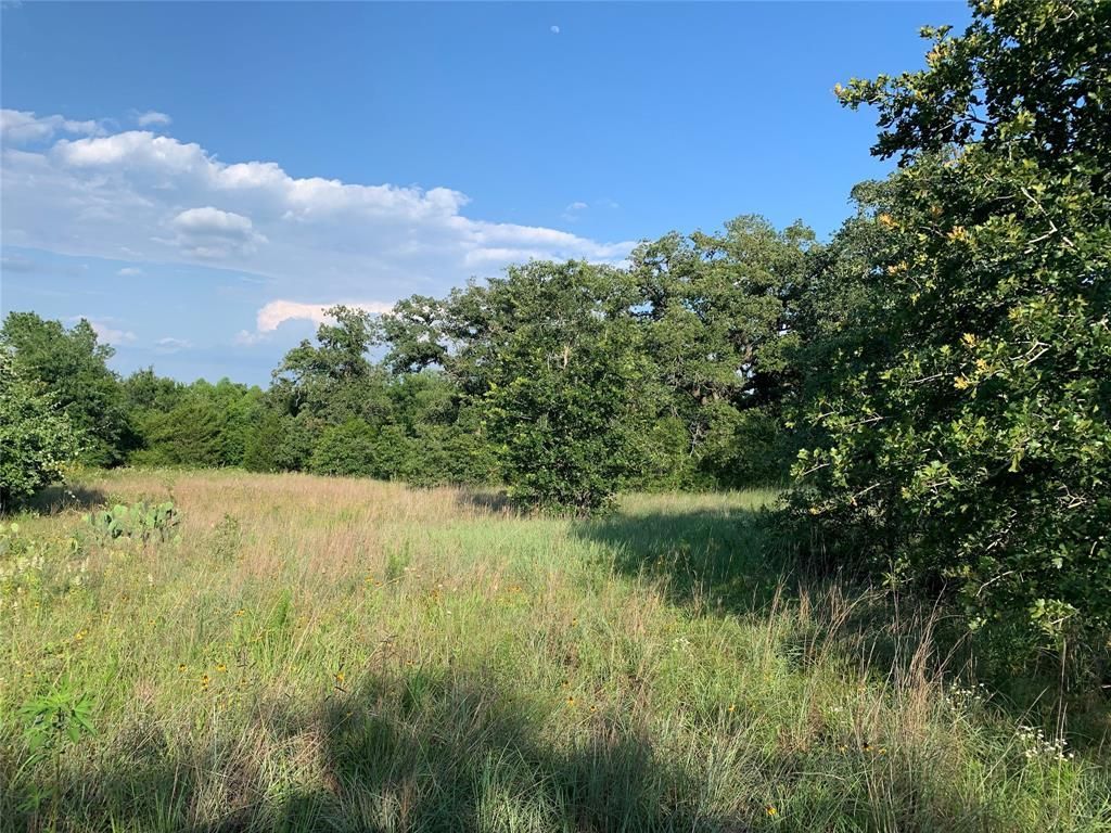 Shiloh Rd, Bastrop, TX 78602 MLS 4407506