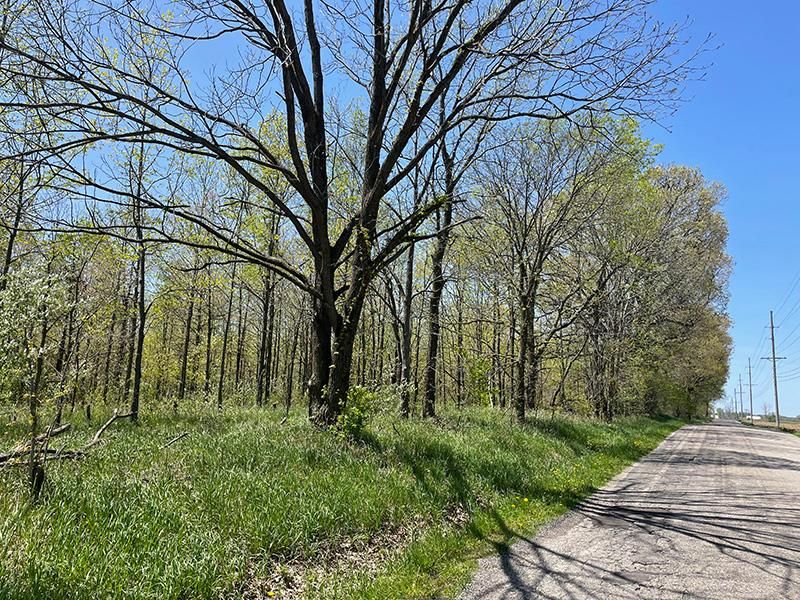 200 acres in Steuben County, Indiana