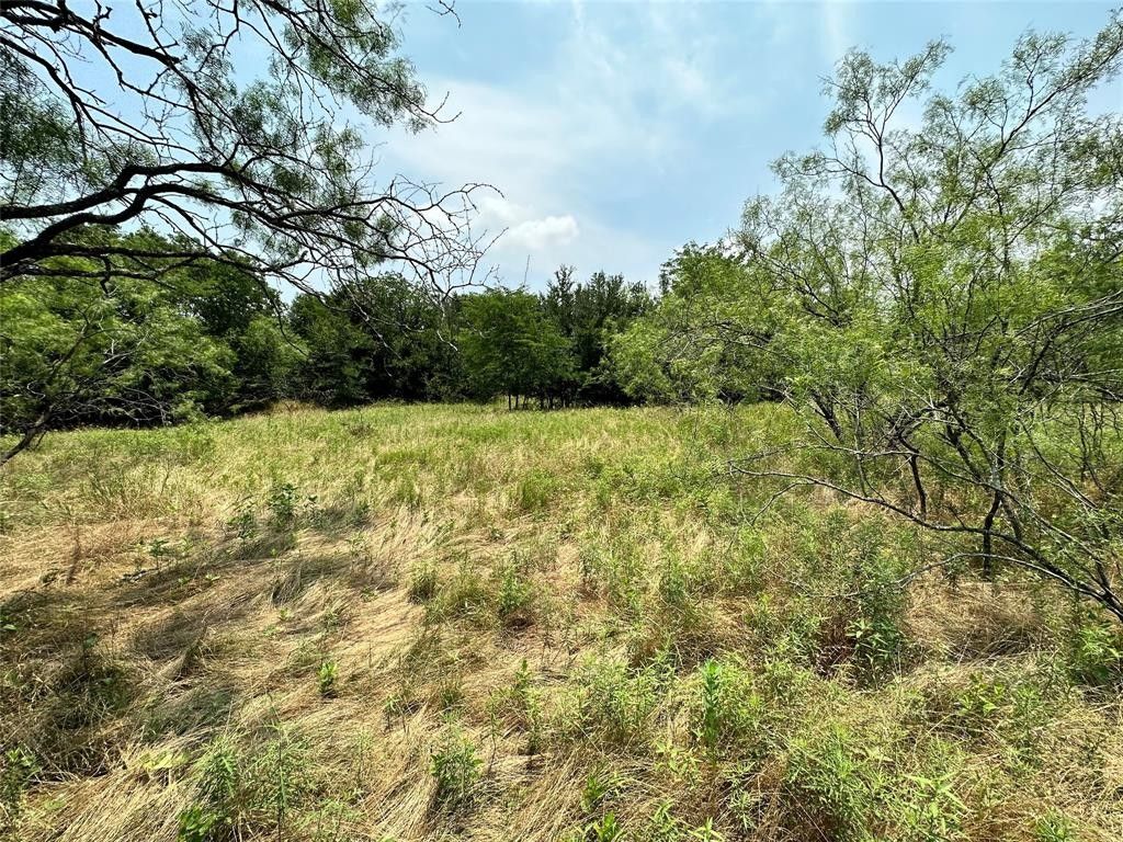 20 acres in Navarro County, Texas