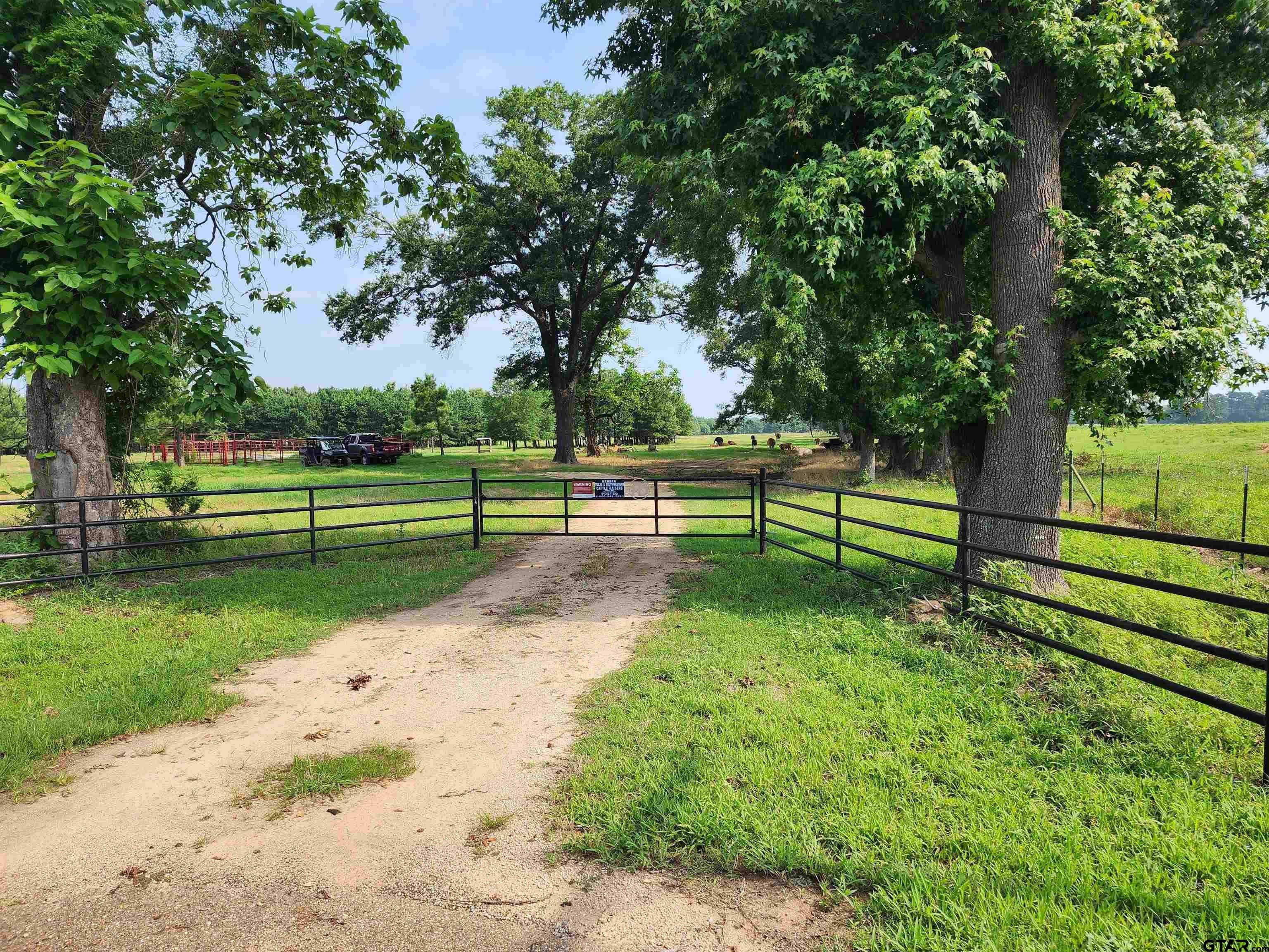 84 acres in Camp County, Texas