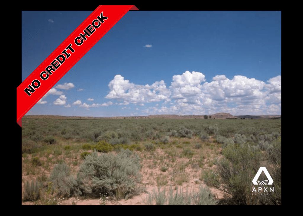 40 acres in Apache County, Arizona