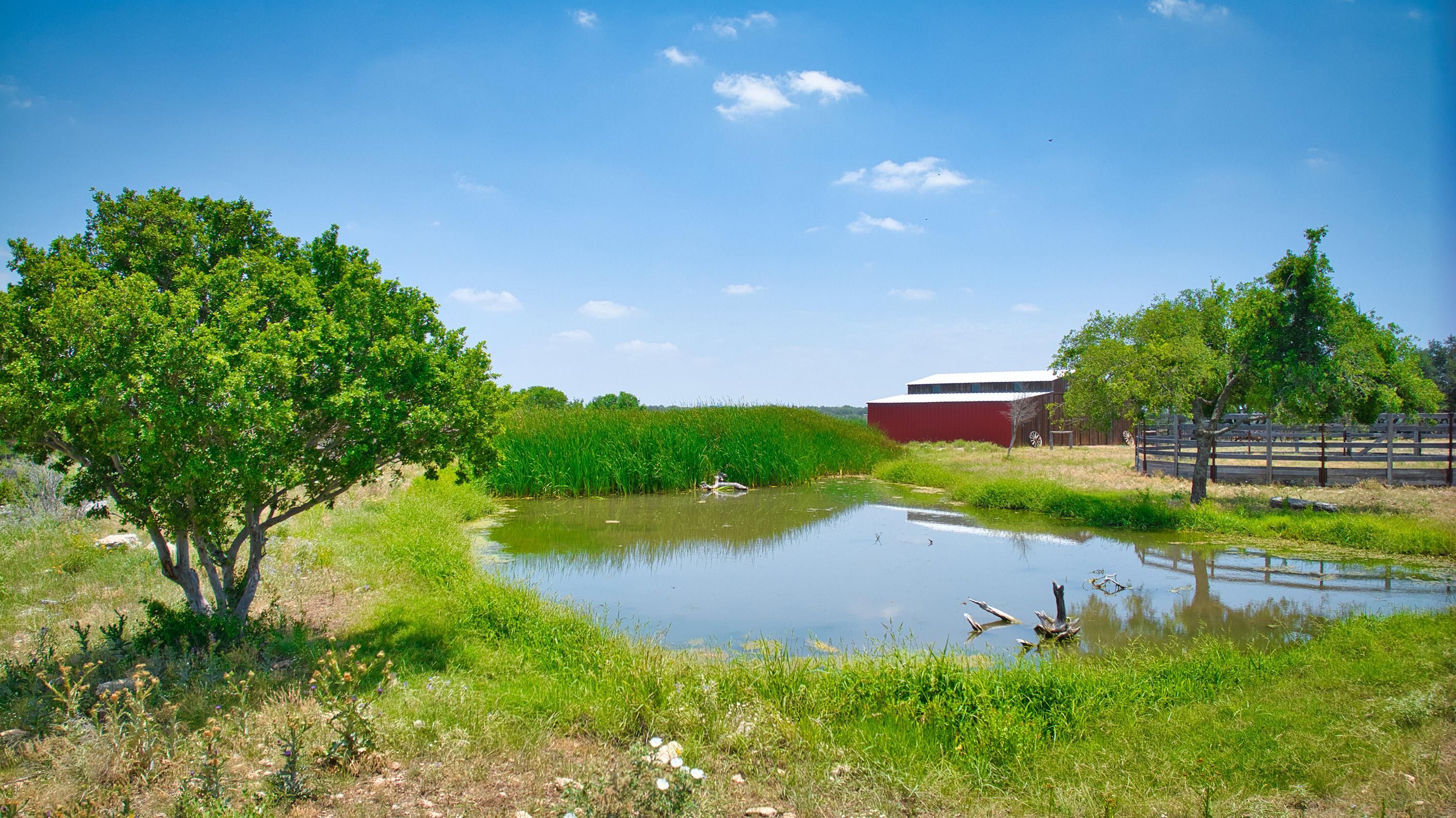 161 acres in Schleicher County, Texas