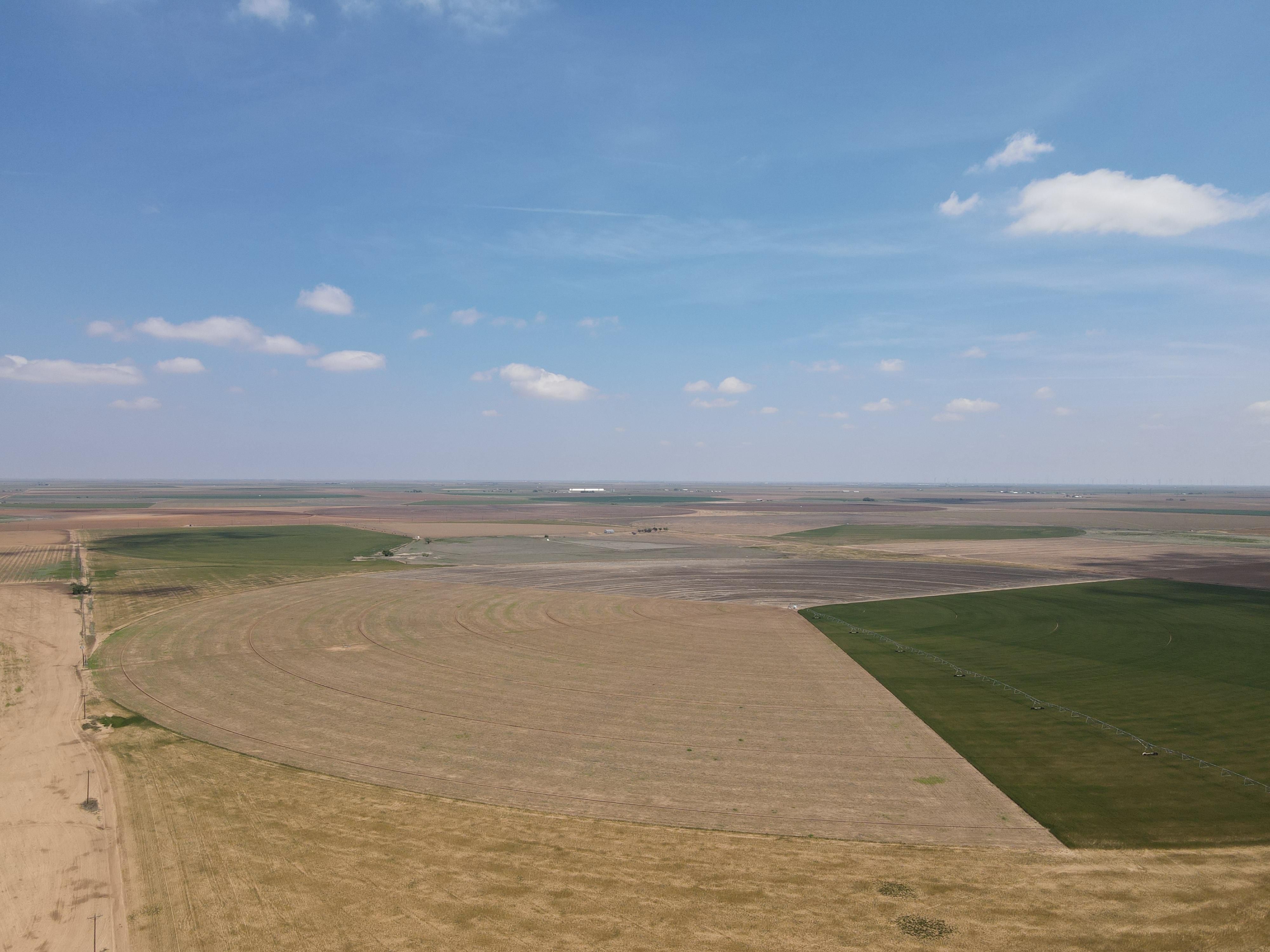 300 acres in Lockney, TX, 79241