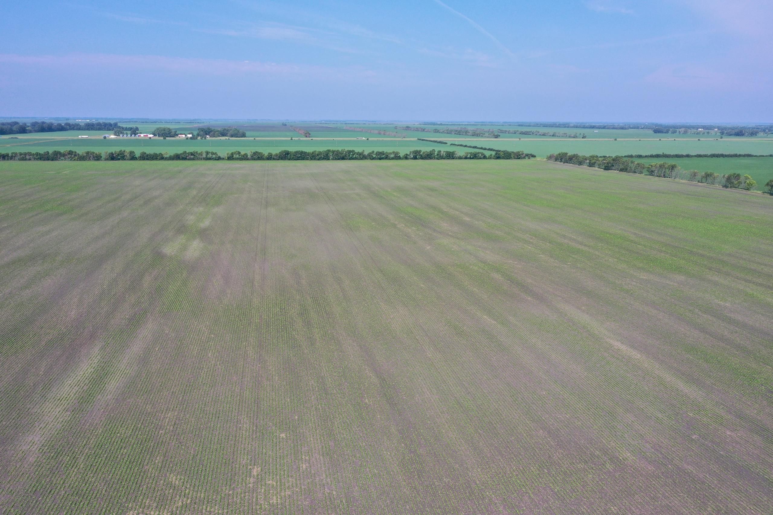 80 acres in Walsh County, North Dakota