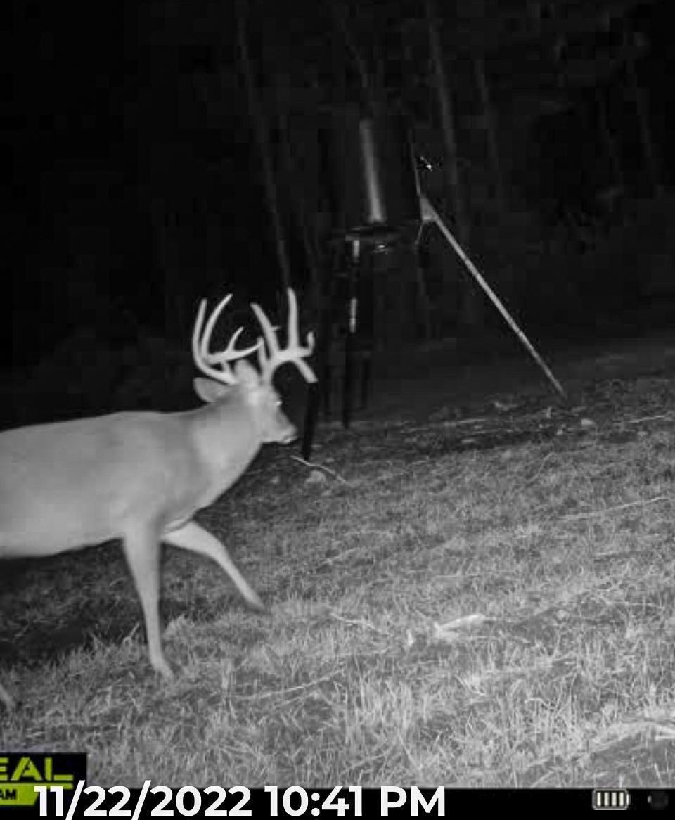 120 acres in Winston County, Mississippi