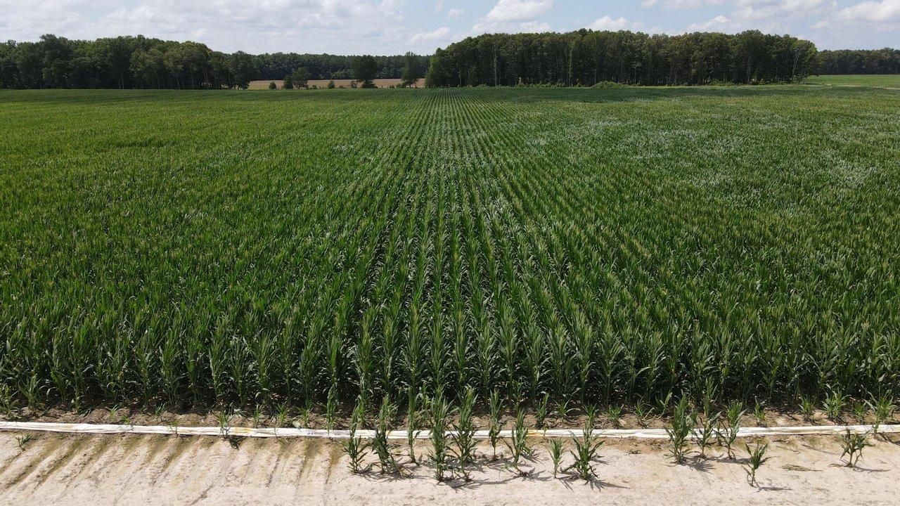 160 acres in White County, Arkansas