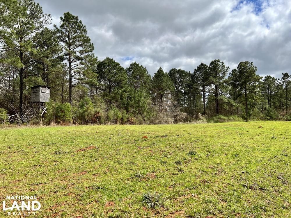 41 acres in Marengo County, Alabama