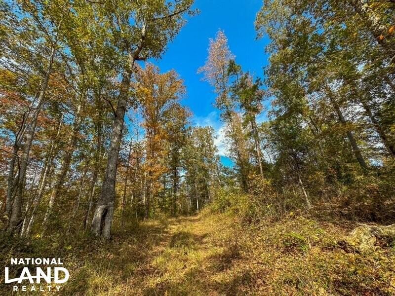 50 acres in Havana, AL, 35474