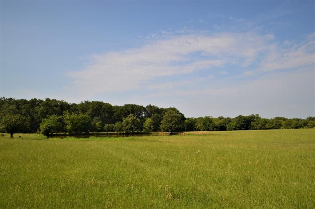 58-acres-in-henderson-county-texas