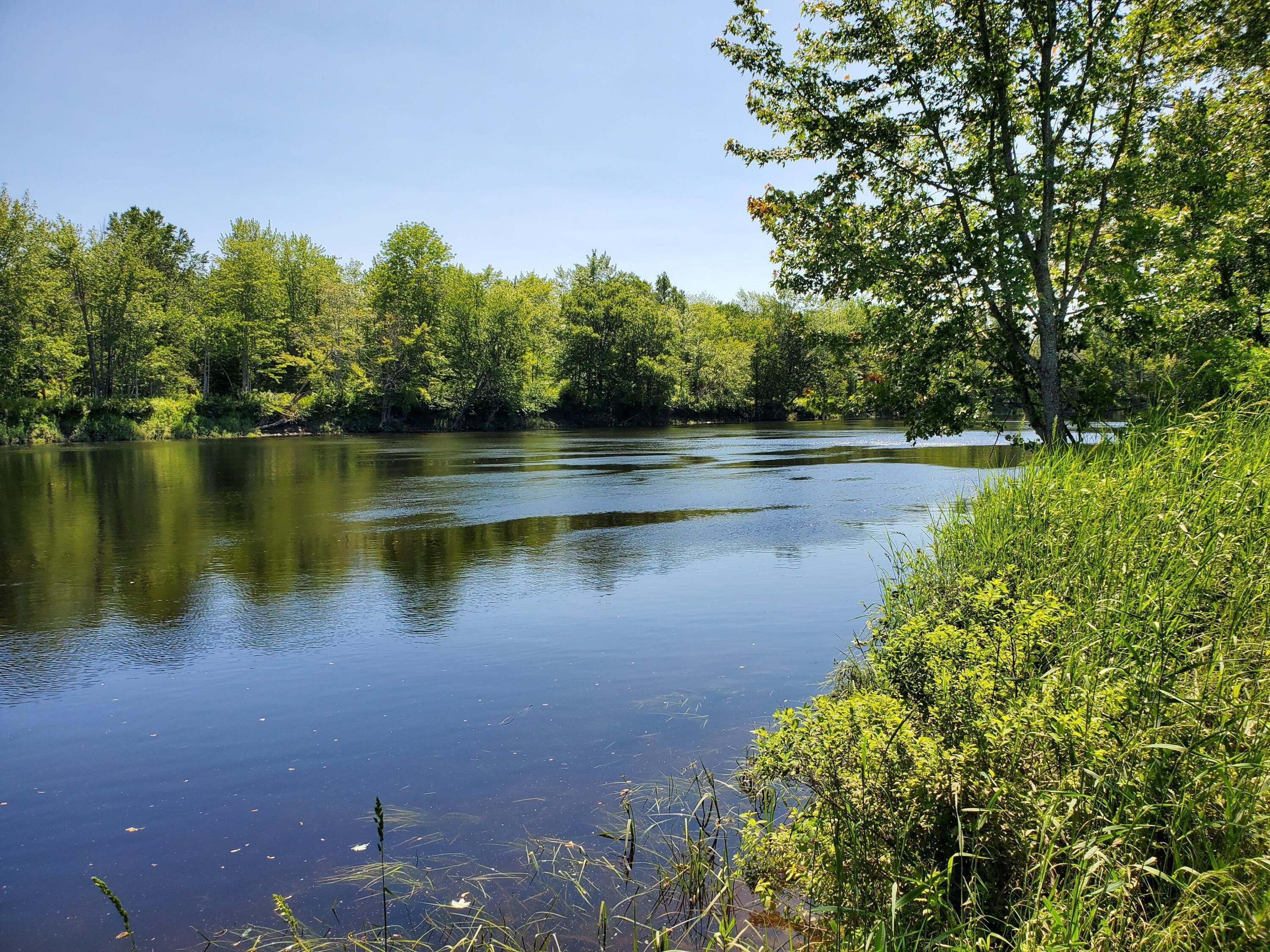 18.4 acres in Piscataquis County, Maine