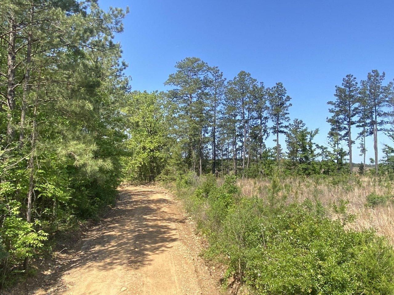 77.01 acres in Little River County, Arkansas