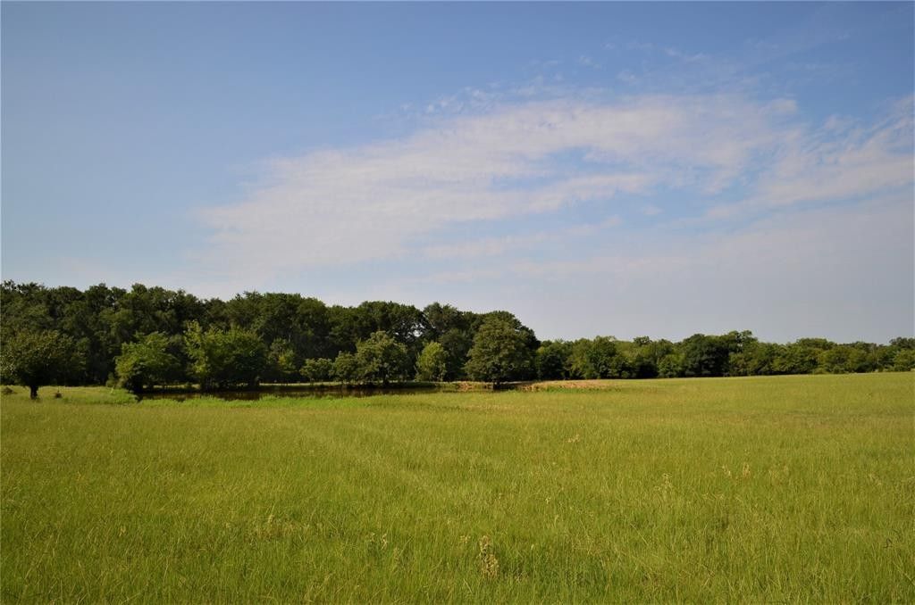 58 acres in Henderson County, Texas