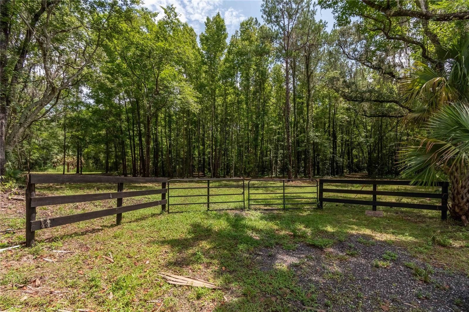 10 acres in Marion County, Florida