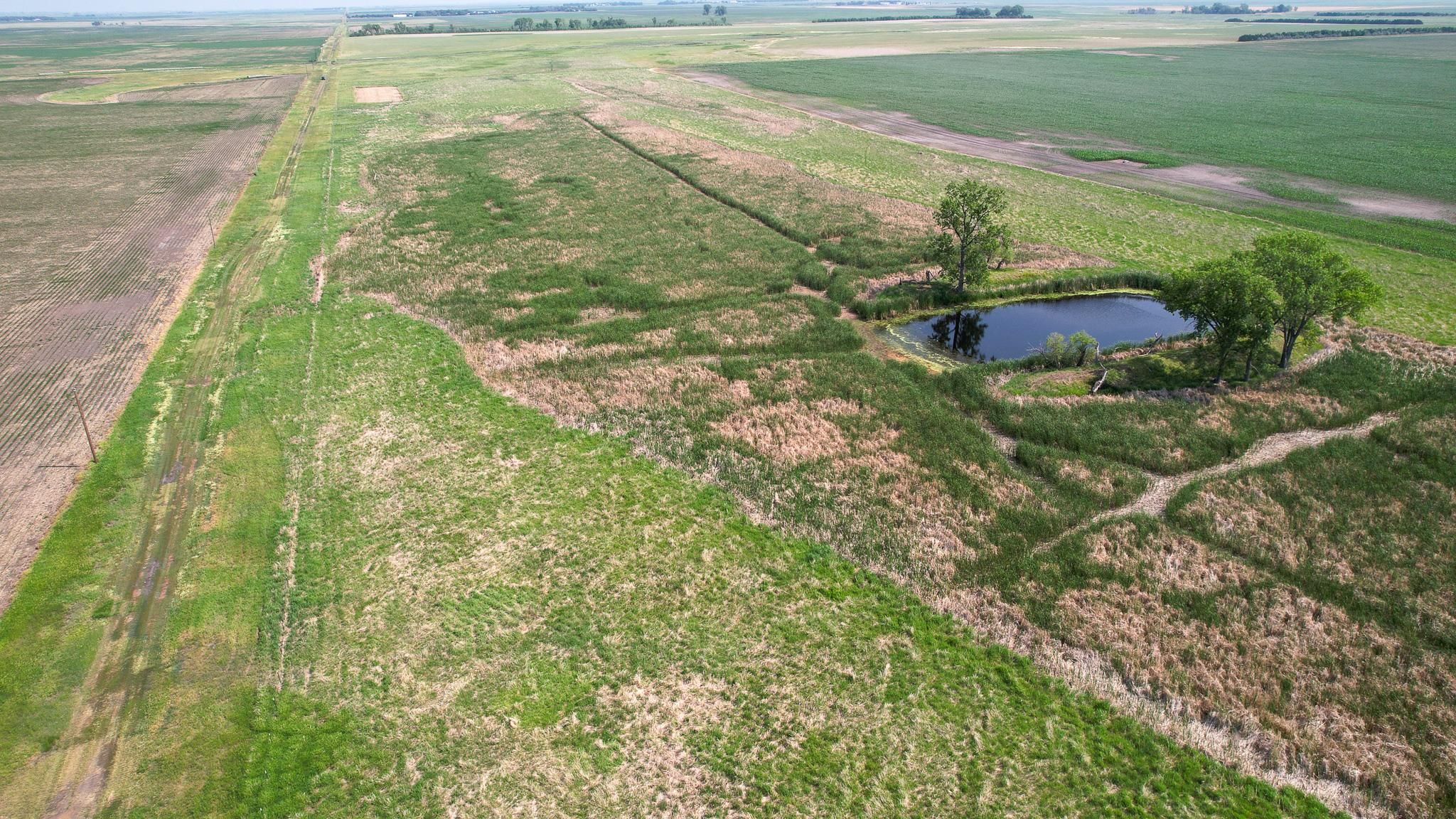 40 acres in Beadle County, South Dakota