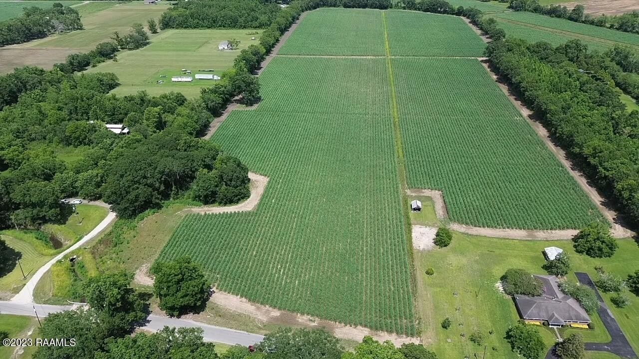 42.73 acres in Saint Martin Parish, Louisiana