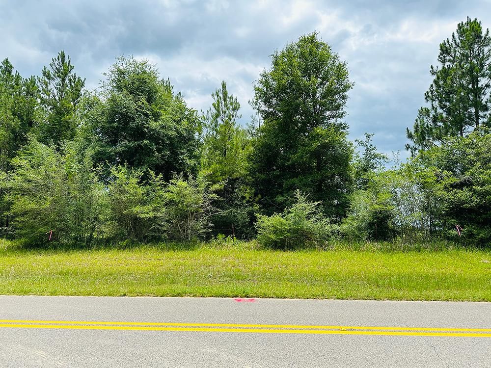 Mason Ferry Rd, Wilmer, AL 36587 MLS 10132