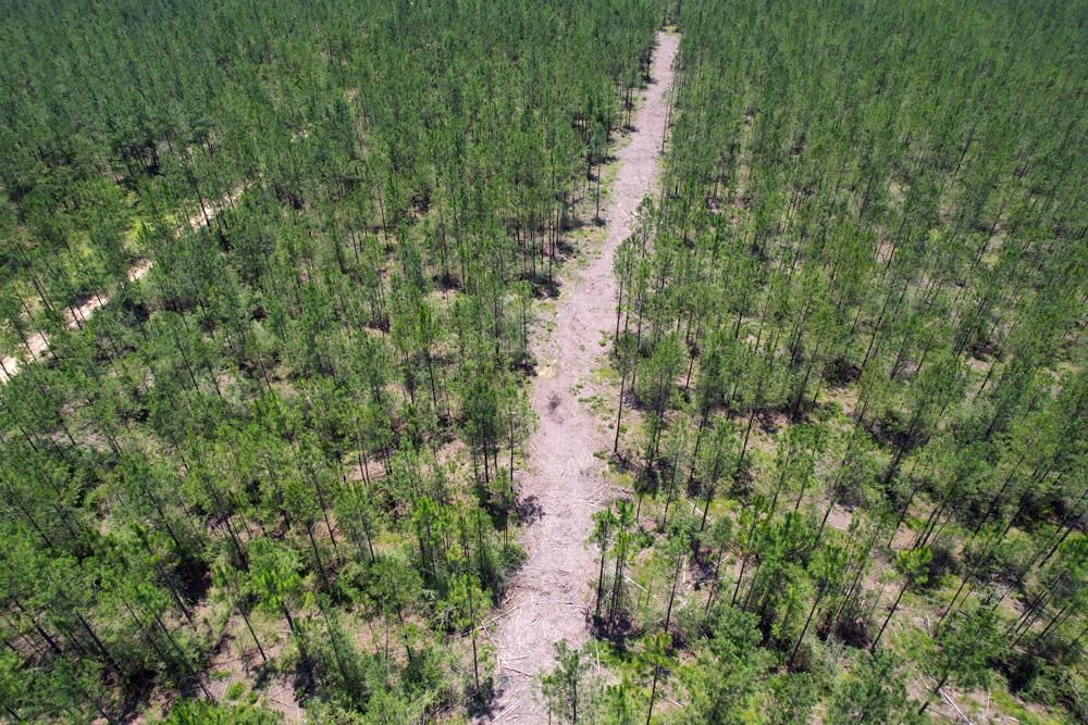 Mason Ferry Rd, Wilmer, AL 36582 MLS 10134