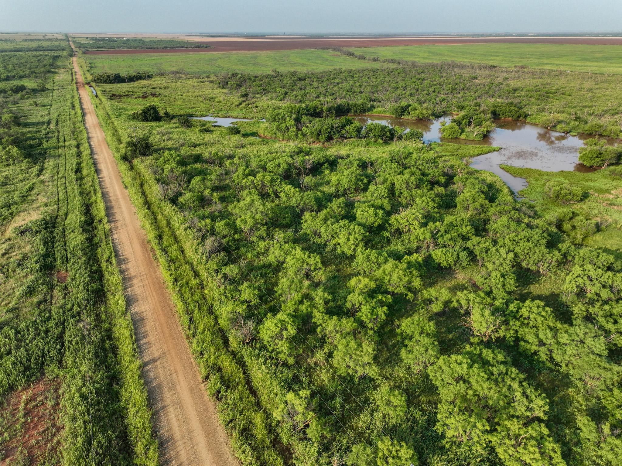 160.5 acres in Rule, TX, 79547