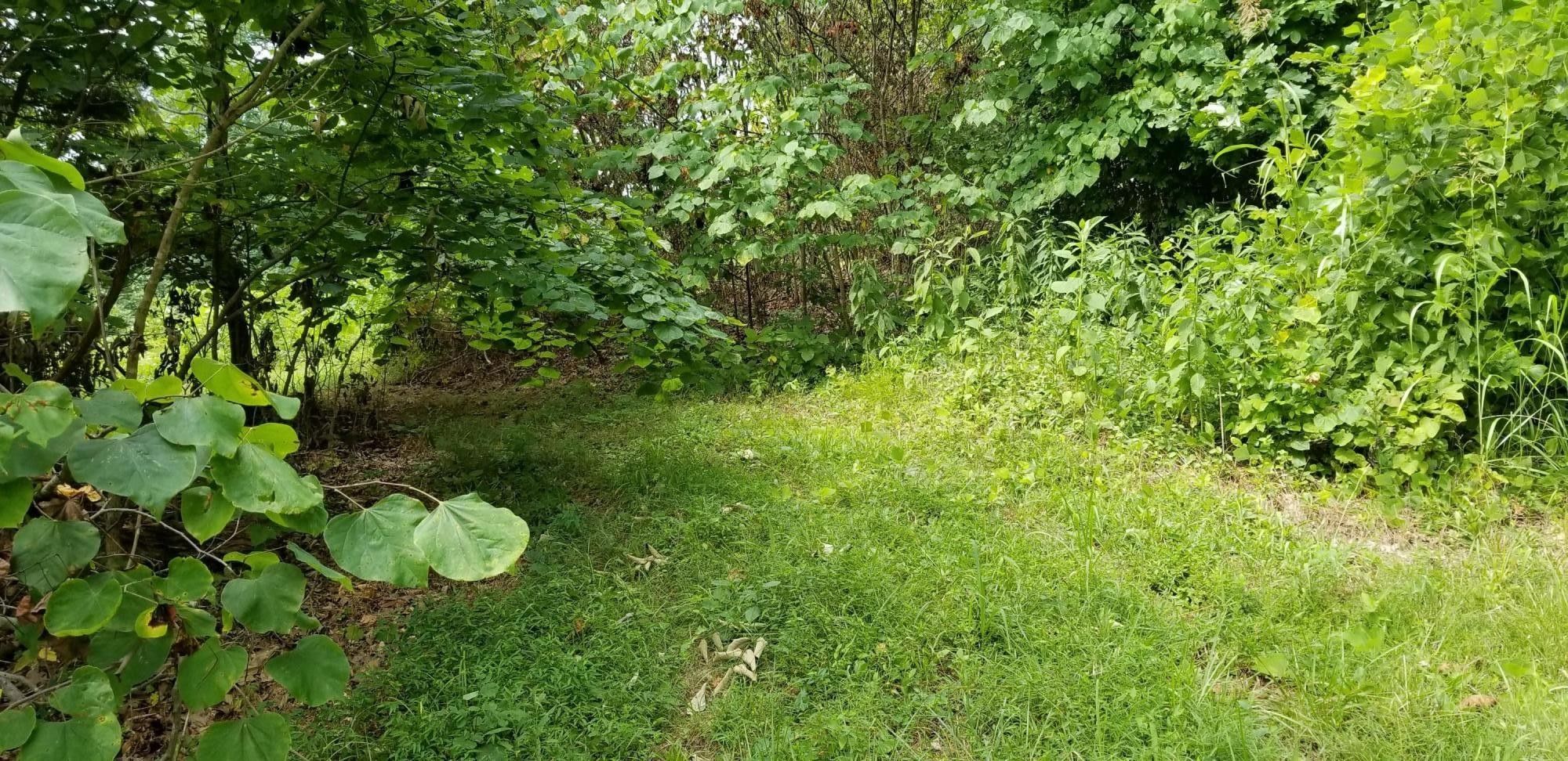 5 acres in Franklin County, Virginia