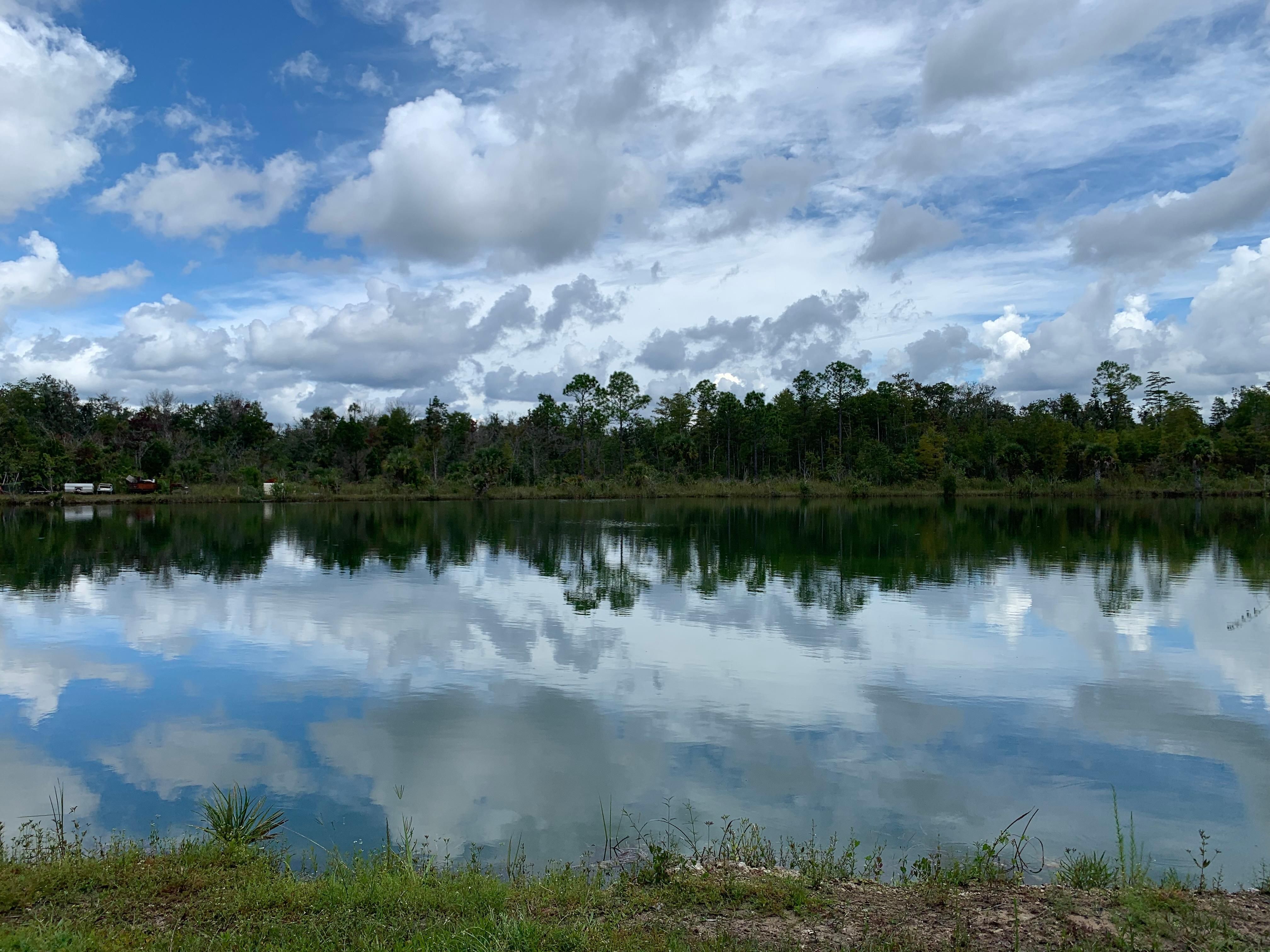 962.55 acres in Dixie County, Florida