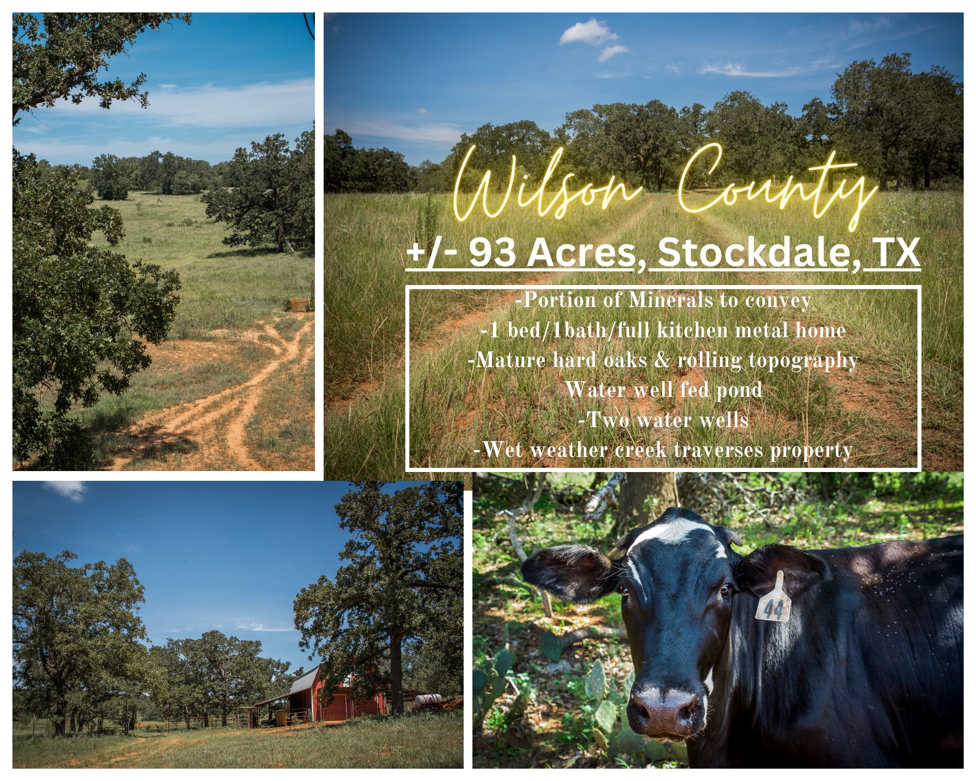 93.07 acres in Wilson County, Texas