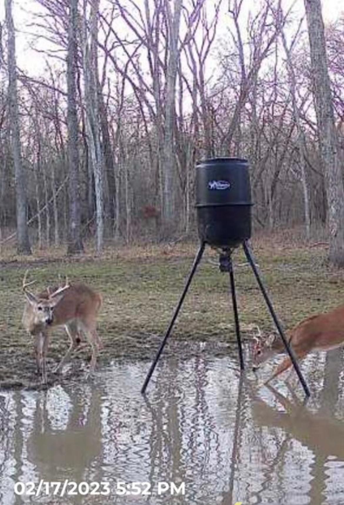 80 acres in Okfuskee County, Oklahoma