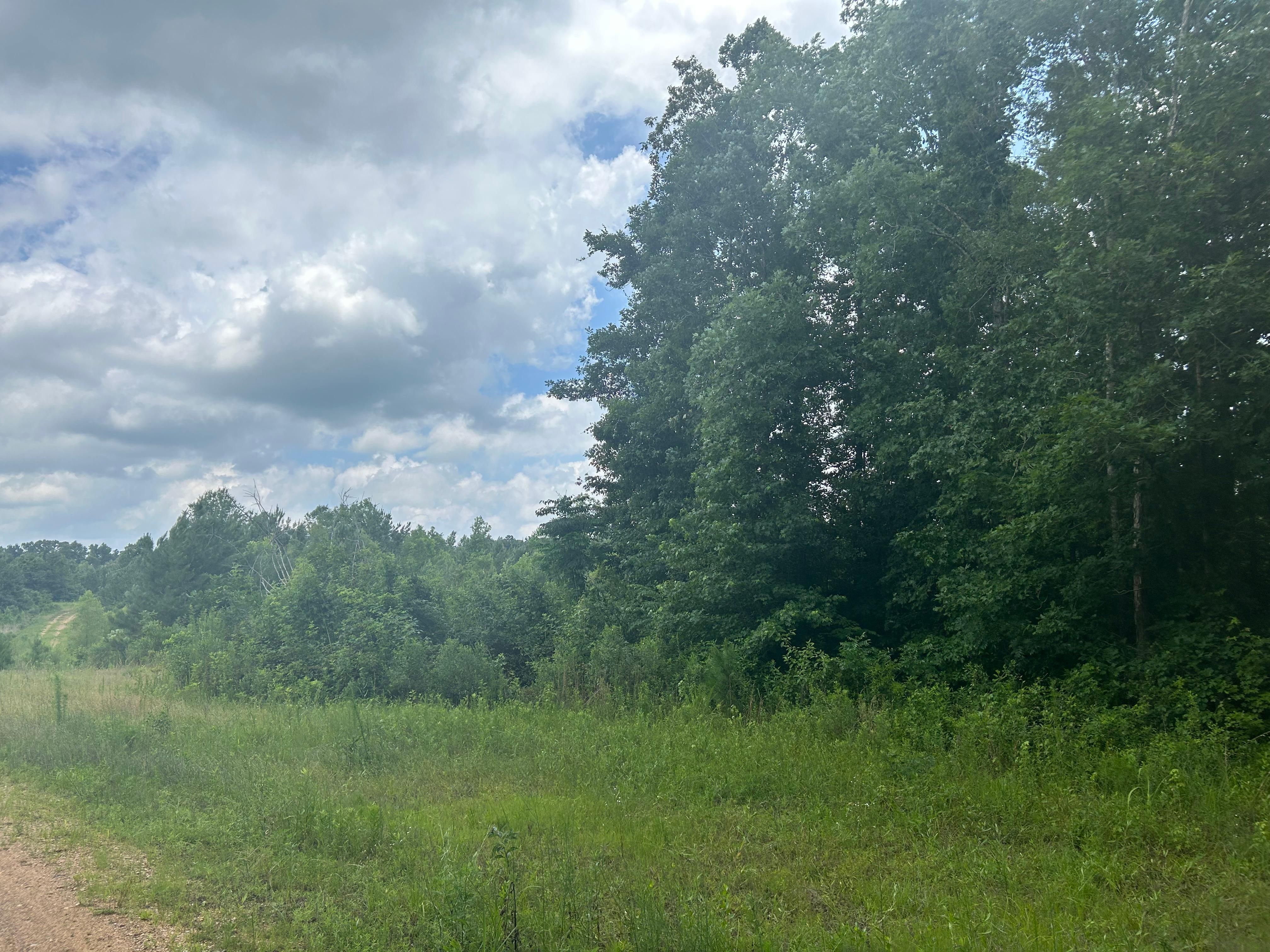5 acres in Rankin County, Mississippi