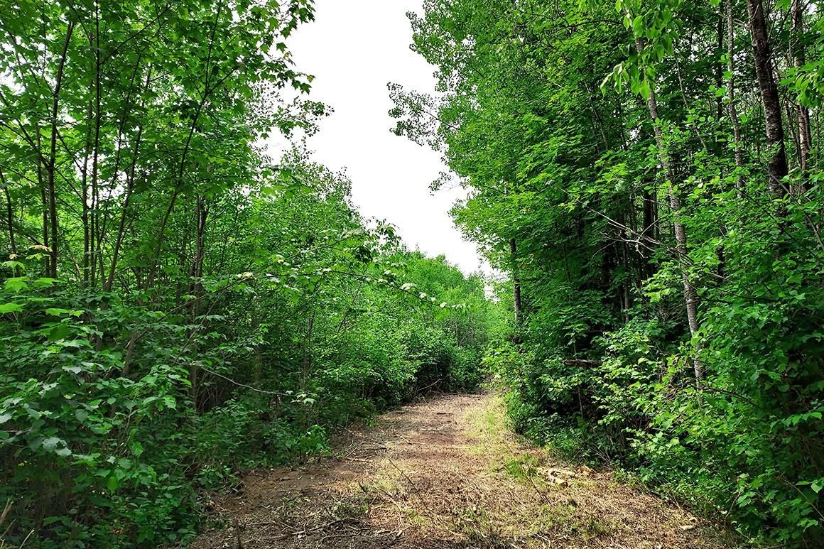 6 acres in Forest County, Wisconsin