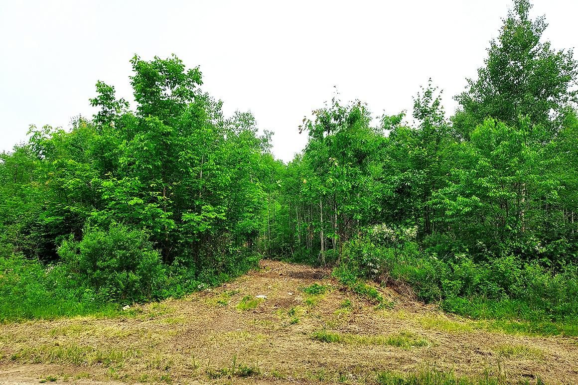 3 acres in Forest County, Wisconsin