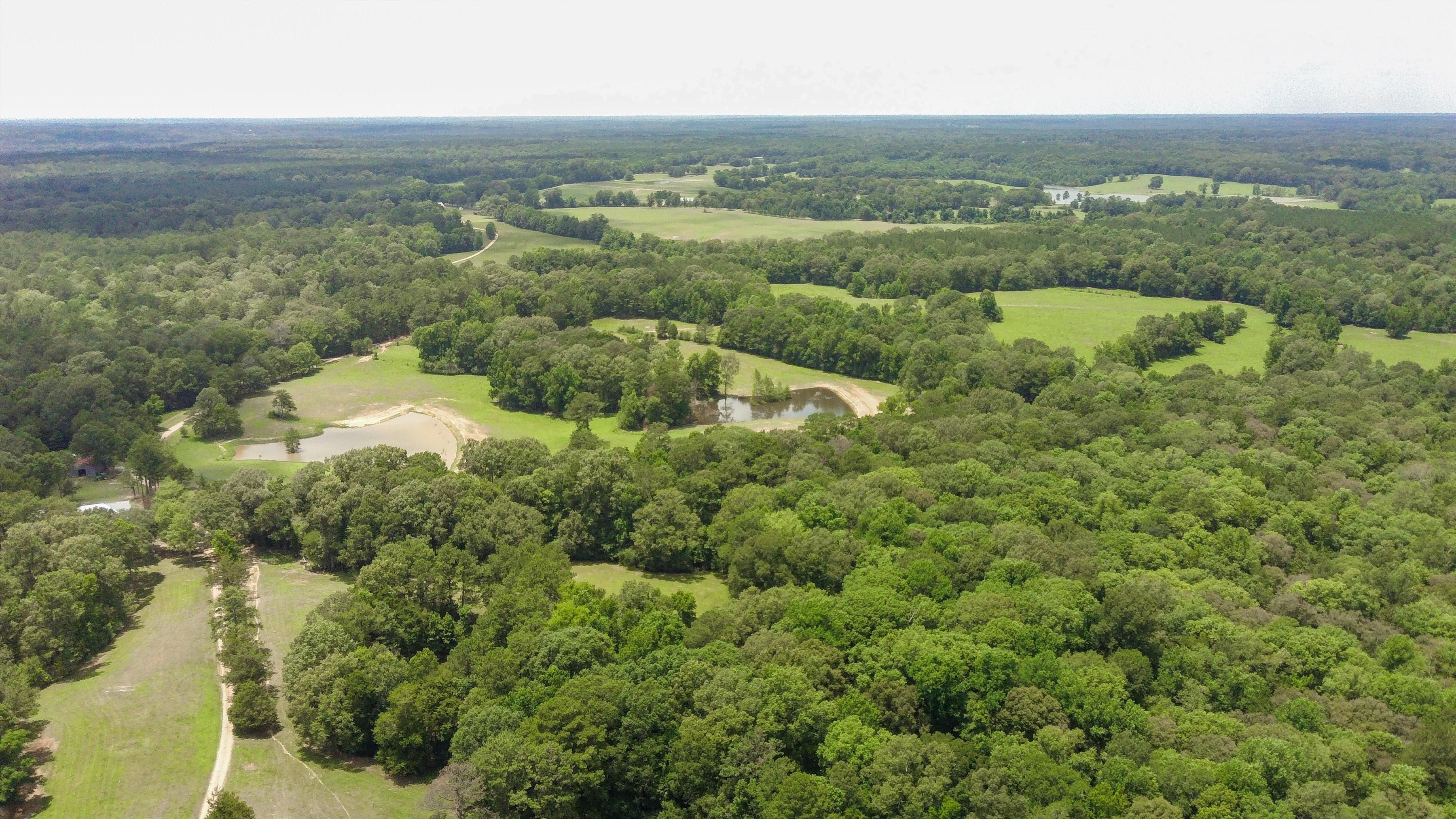 208.3 acres in West Feliciana Parish, Louisiana