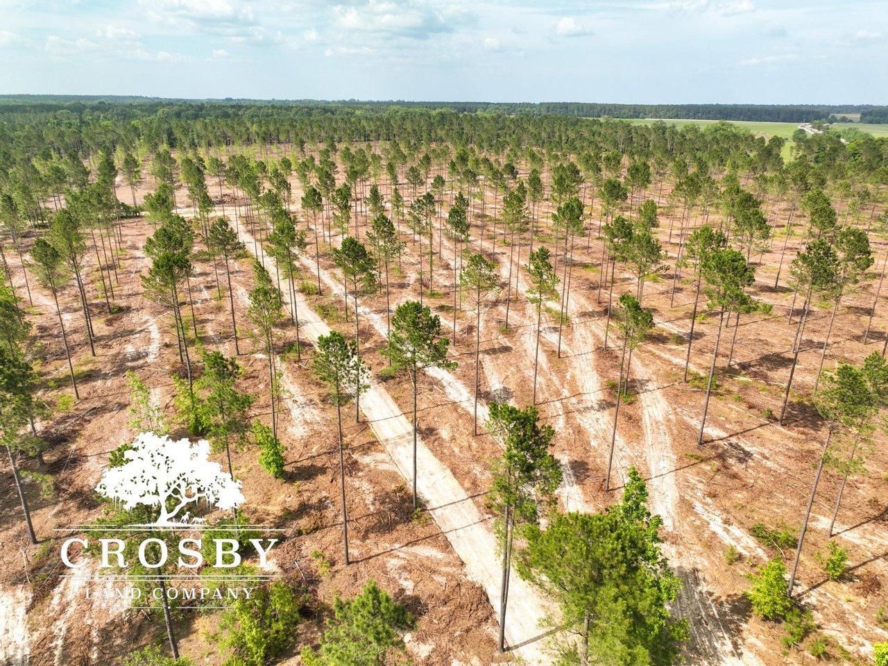 75 acres in Blackville, SC, 29814