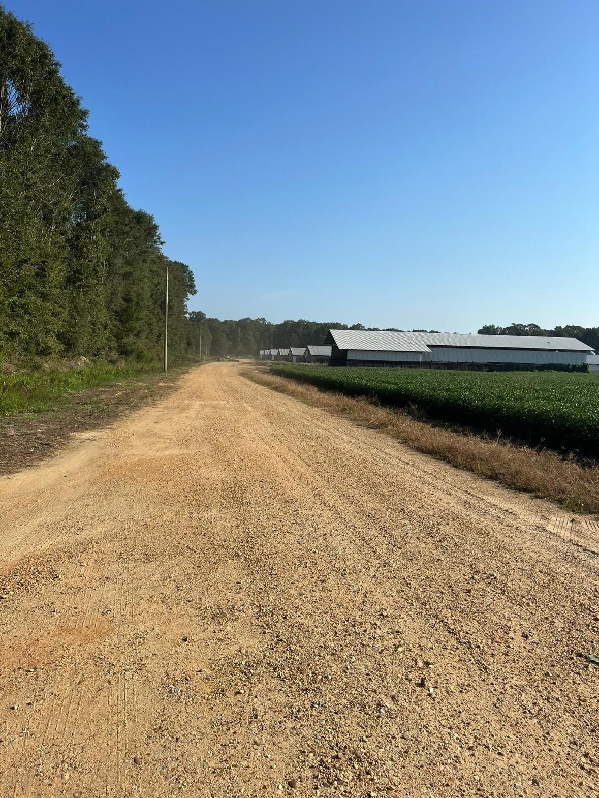 60 acres in Copiah County, Mississippi