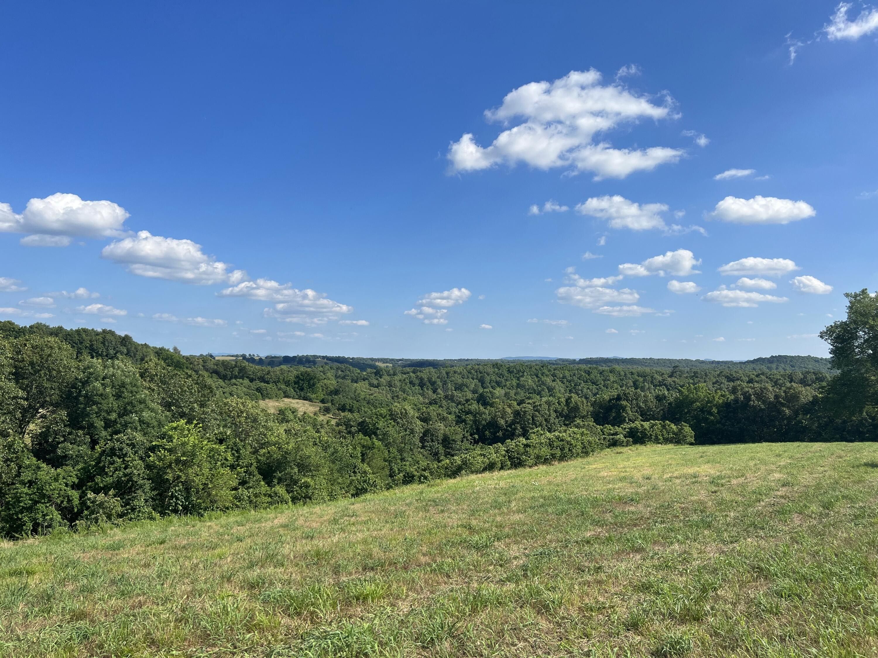 39.19 acres in Boone County, Arkansas