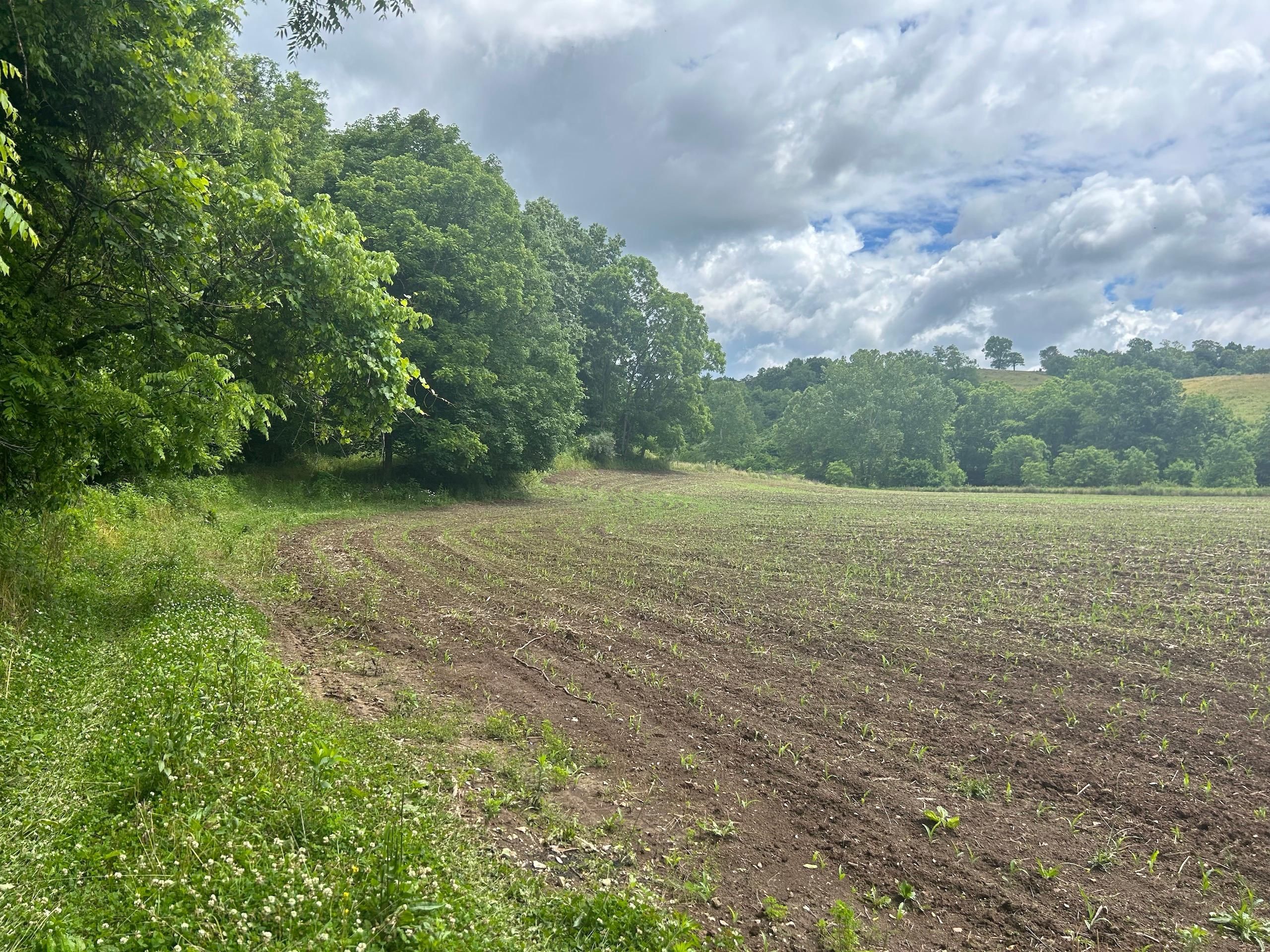 40 acres in County, Ohio
