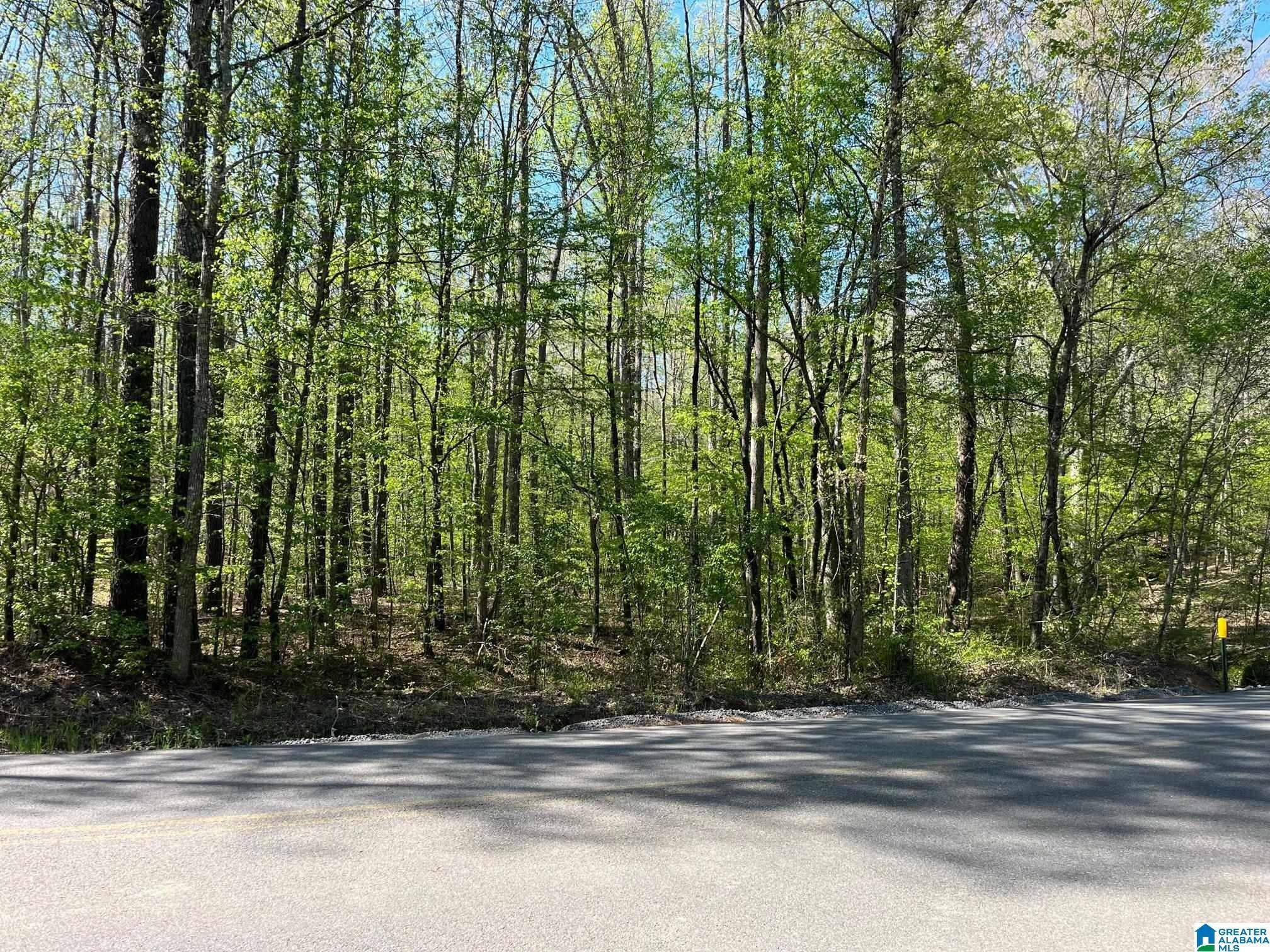 10 acres in Jefferson County, Alabama