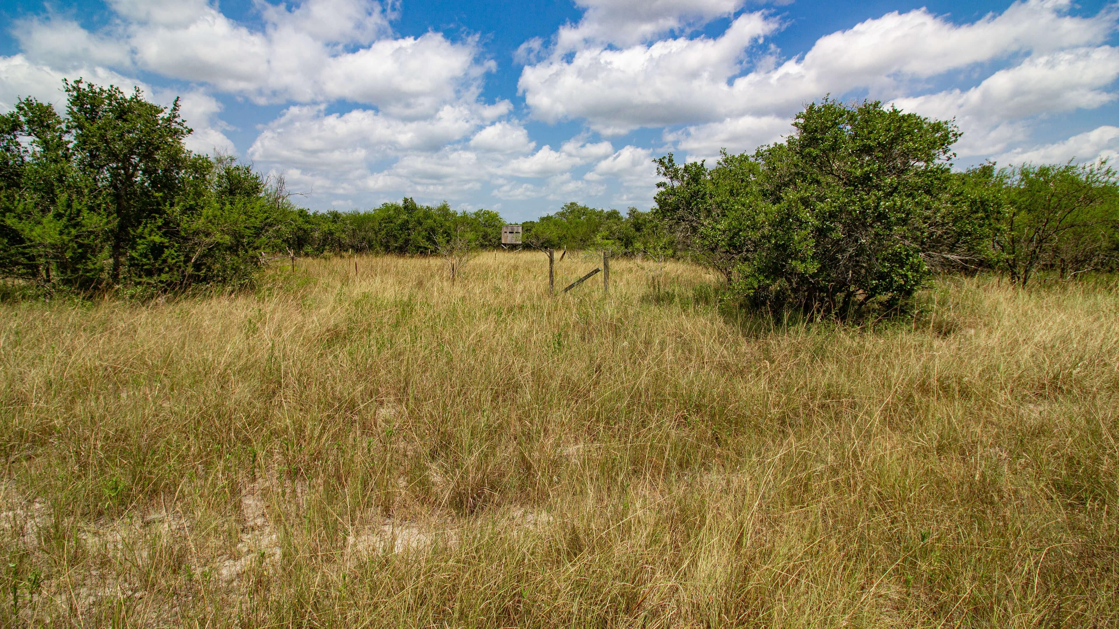 100 acres in Refugio County, Texas