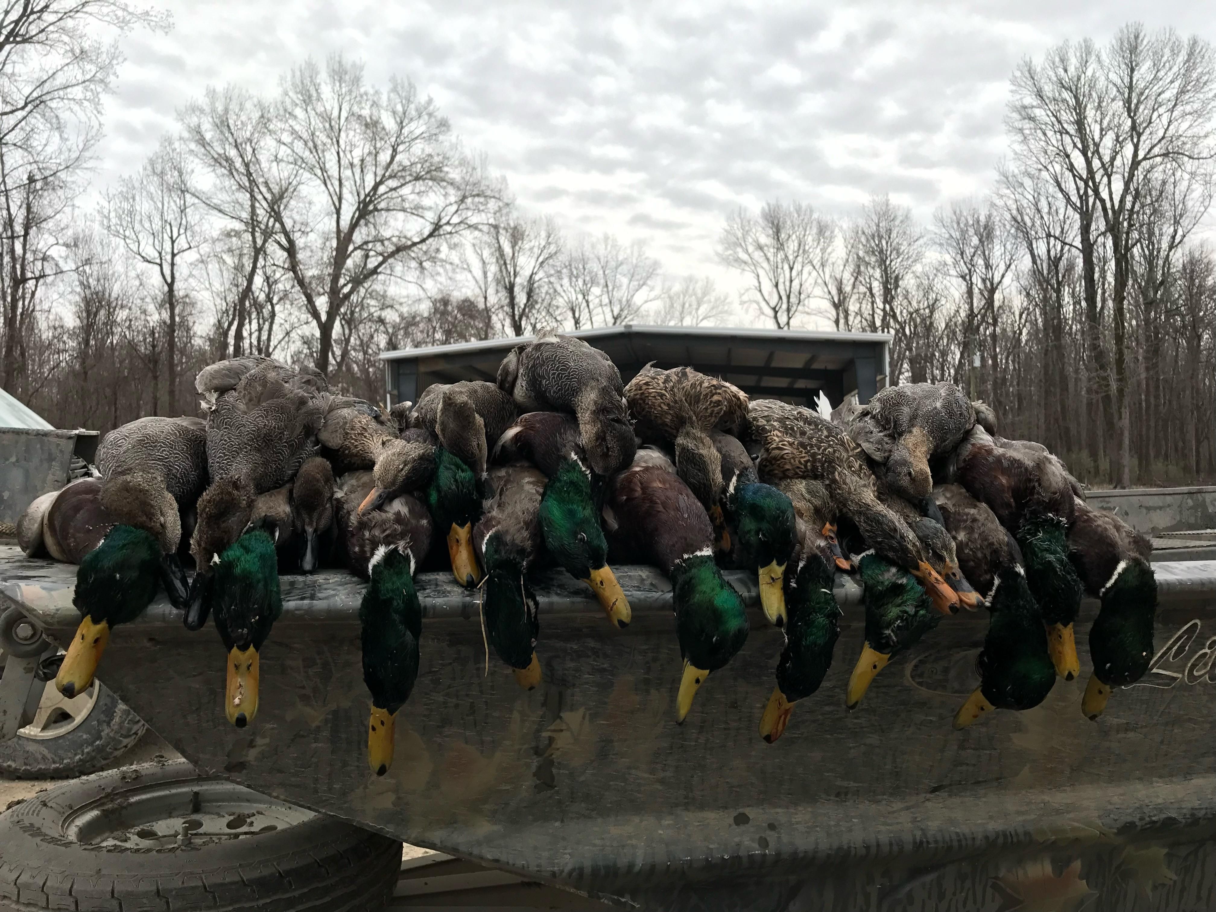 1,531 acres in Alligator, MS, 38720