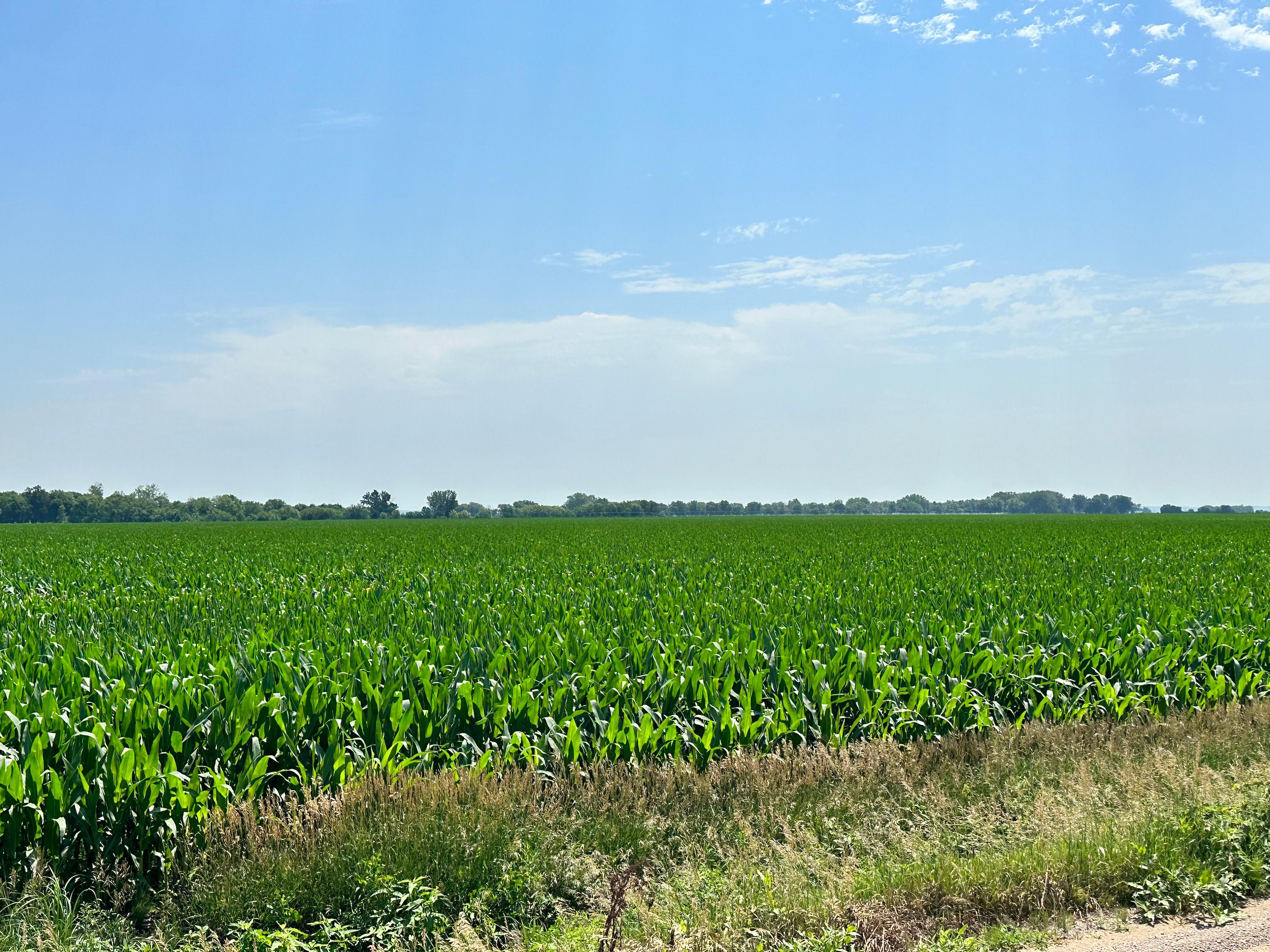 73.3 acres in Monona County, Iowa